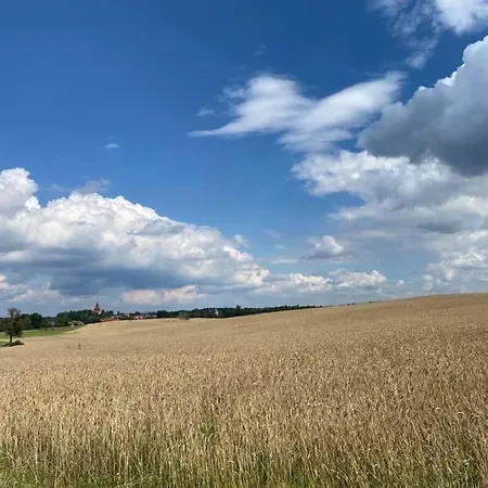 Hof Tuerke Апартаменты Морицбург