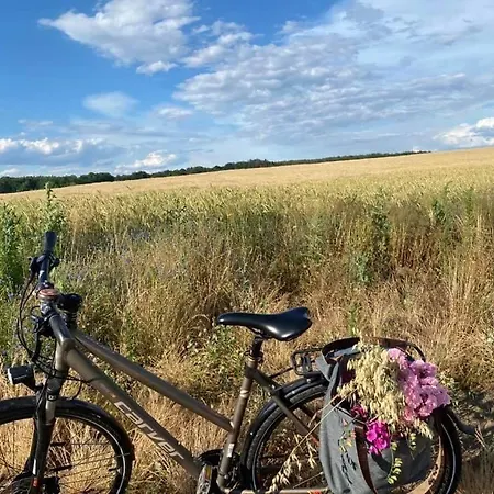 Hof Tuerke * Морицбург