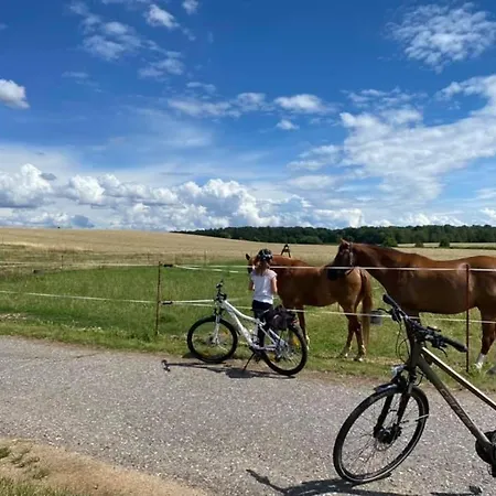 Hof Tuerke Апартаменты Морицбург